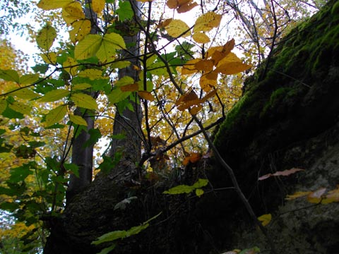 rocky outcrop