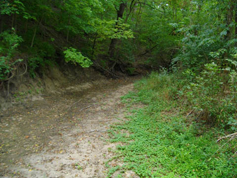 creek