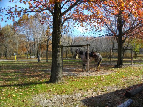 campground