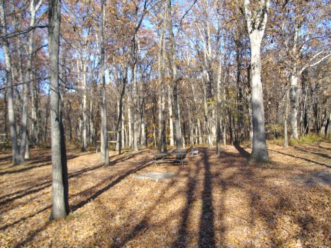 campground