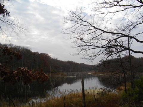 lakes